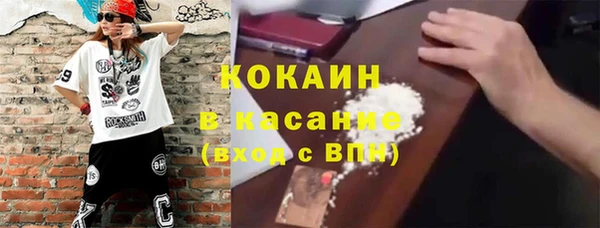 твердый Алзамай