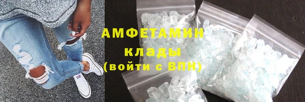 шишки Заполярный